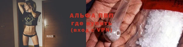 дживик Щигры