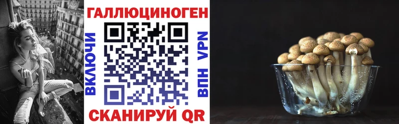 Галлюциногенные грибы GOLDEN TEACHER  цена   Усть-Илимск 